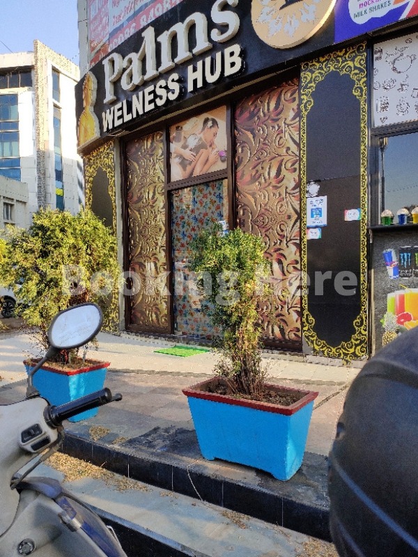 Palms Wellness Hub